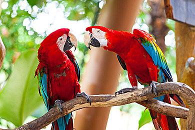 《神都不良探》今日Steam正式开售 神都之神皆在于人